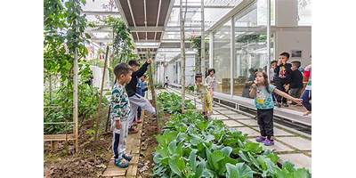 MONTESSORI JARDIN BILINGUE