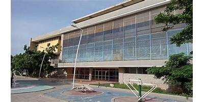 NUEVO INSTITUTO MIXTO RODRIGO DE BASTIDAS