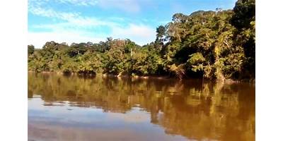 PAREKIATA