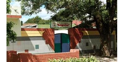 PREE. AMIGUITOS DE LA VIRGEN DEL PILAR