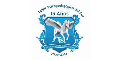 TALLER PSICOPEDAGOGICO DEL SUR